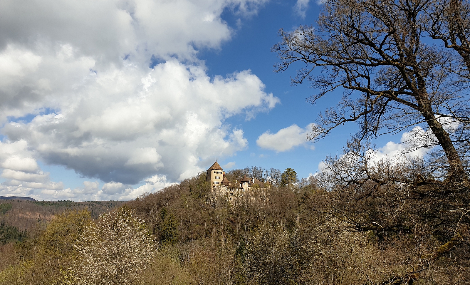 14_10. April 22_SAC Fruehlingswanderung (106).jpg